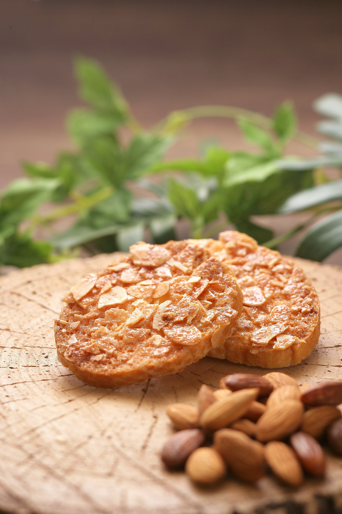 【那須ラスク】プレミアムアマンドラスク